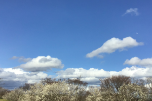 アンガーマネジメント,怒りの,コントロール可能,青空