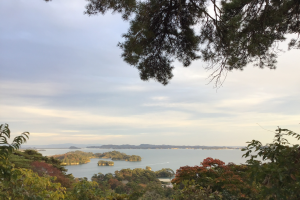 松島湾,西行戻しの松より望む,晩秋