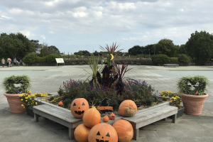 せんだい農業園芸センター,入り口,ハロウィンデコレーション,バラ園,